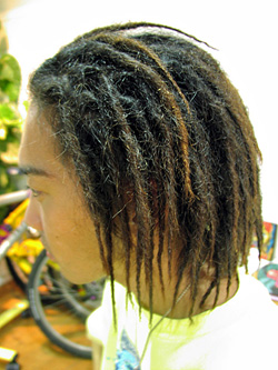 ソフトドレッド26