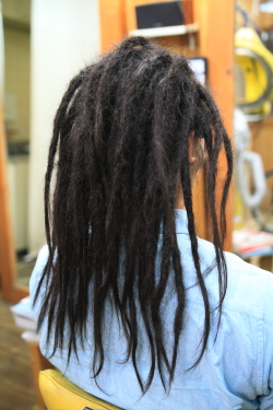 ソフトドレッド 261