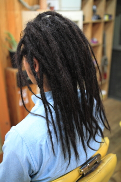 ソフトドレッド 262