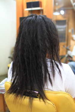 ソフトドレッド 264