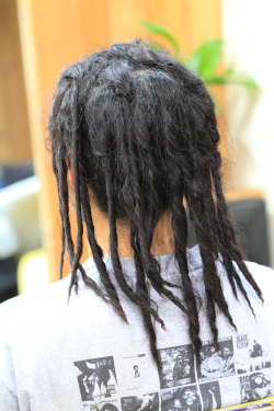 ソフトドレッド 273