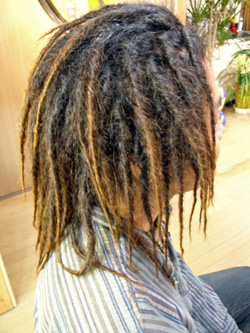 ソフトドレッド 28