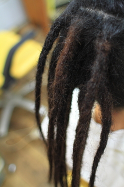 ソフトドレッド 283