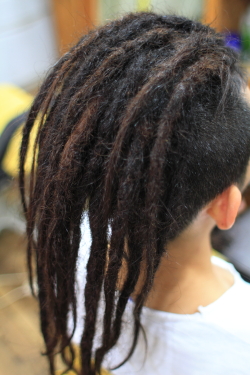 ソフトドレッド 286