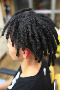 ソフトドレッド 293