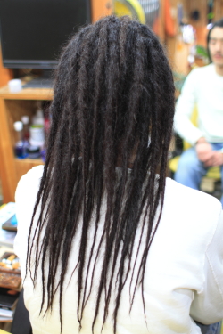 ソフトドレッド 296