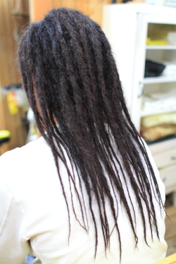 ソフトドレッド 297