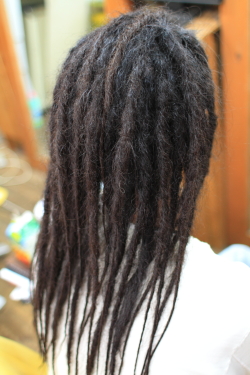 ソフトドレッド 298