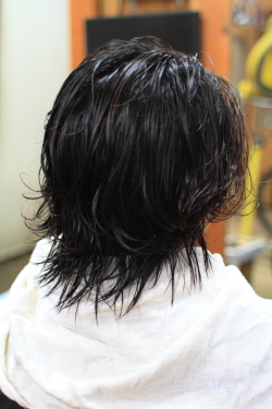 ソフトドレッド 306