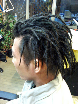 ソフトドレッド 31