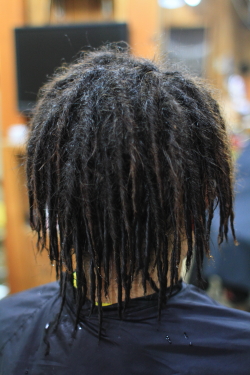 ソフトドレッド 311