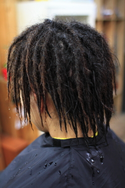 ソフトドレッド 312