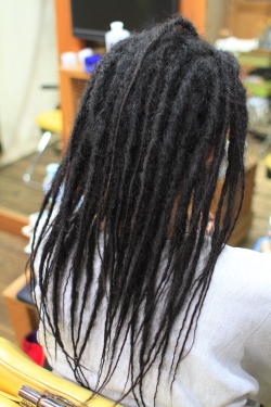 ソフトドレッド 320