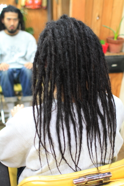 ソフトドレッド 322