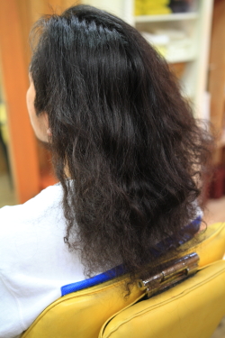 ソフトドレッド 329