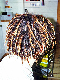 ソフトドレッド 33