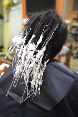 ソフトドレッド 331