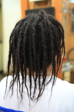 ソフトドレッド 332