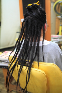 ソフトドレッド 339