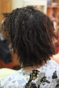 ソフトドレッド 344