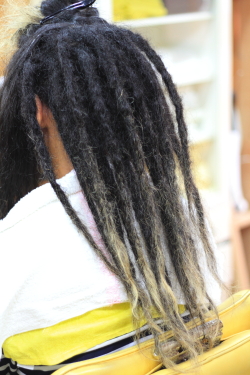 ソフトドレッド 351