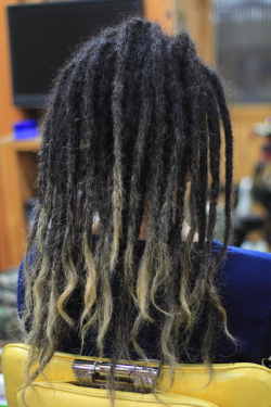 ソフトドレッド 353