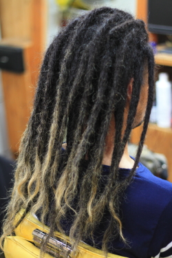 ソフトドレッド 354