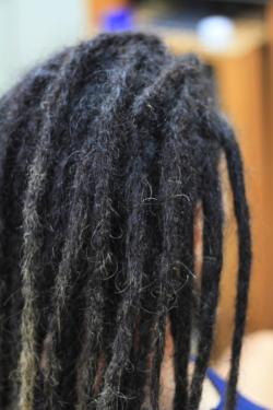 ソフトドレッド 355