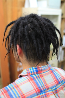 ソフトドレッド 359