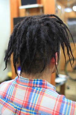 ソフトドレッド 360