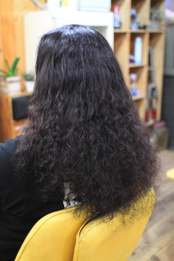 ソフトドレッド 363