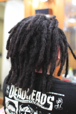 ソフトドレッド 366