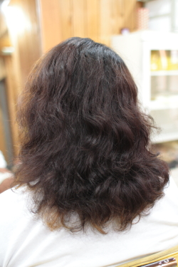 ソフトドレッド 368