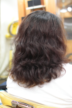 ソフトドレッド 369