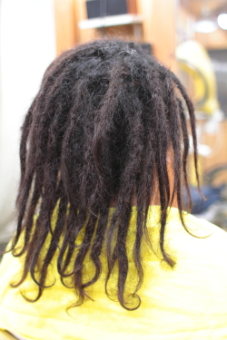 ソフトドレッド 356