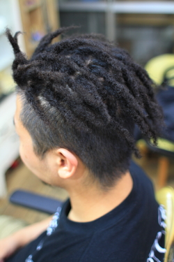 ソフトドレッド 376