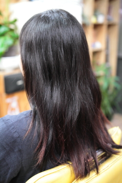 ソフトドレッド 377