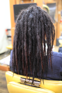 ソフトドレッド 379