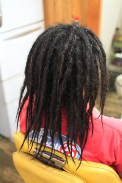 ソフトドレッド 381