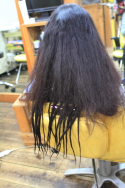 ソフトドレッド 383