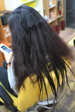 ソフトドレッド 384