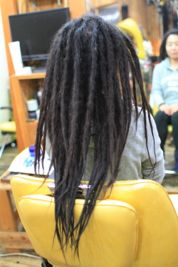 ソフトドレッド 386