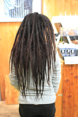 ソフトドレッド 388