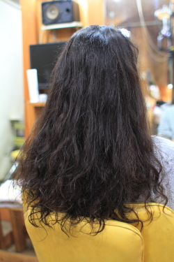 ソフトドレッド 389