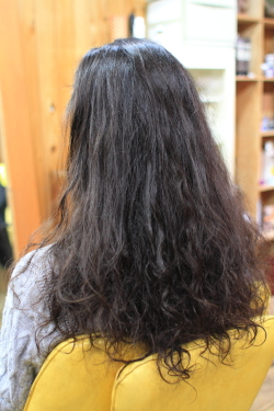 ソフトドレッド 390