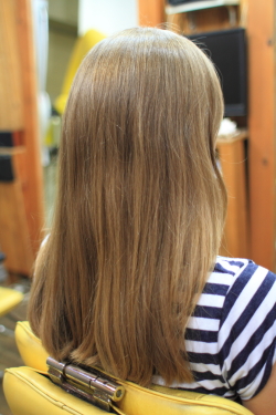 ソフトドレッド 395