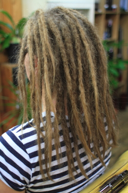 ソフトドレッド 397