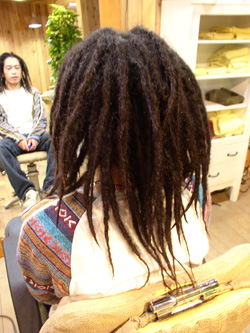 ソフトドレッド 4