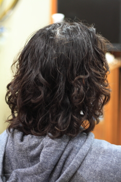 ソフトドレッド 400