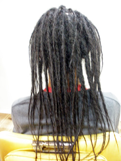 ソフトドレッド 41